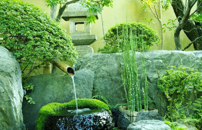 GUESTHOUSE engiya - Foto 15