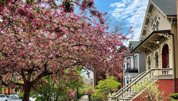 Workers Cottages of Oldtown Triangle Walking Tour - Photo 5