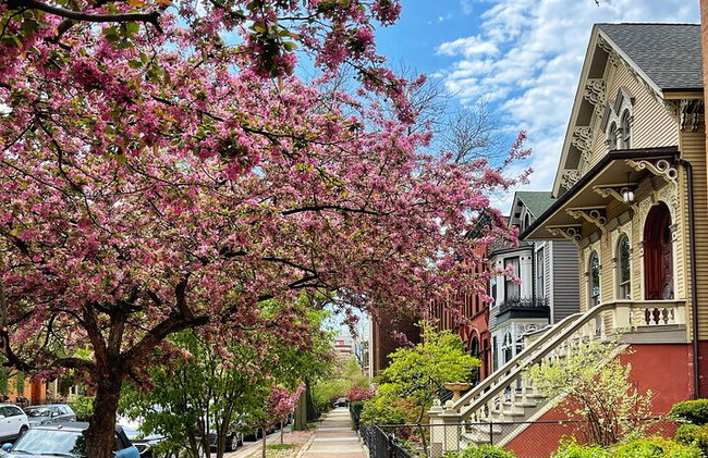 Workers Cottages of Oldtown Triangle Walking Tour - Photo 5