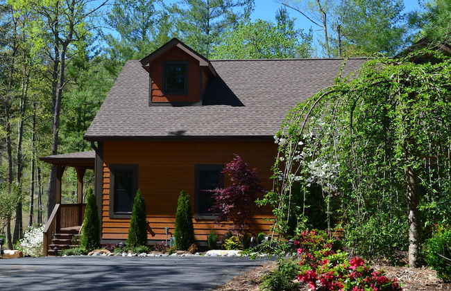 Asheville Country Cabins - Foto 35
