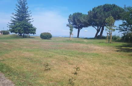 Magnifique Studio bord de mer numéro 88 - Foto 35