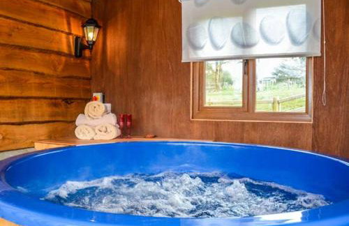 Brynhir Farm - Foto 3