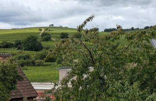 Les Toits de Mittelwihr proche Colmar, Ribeauvillé - Foto 38