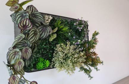 Vila Primorka Apartmani Oleander - Foto 64