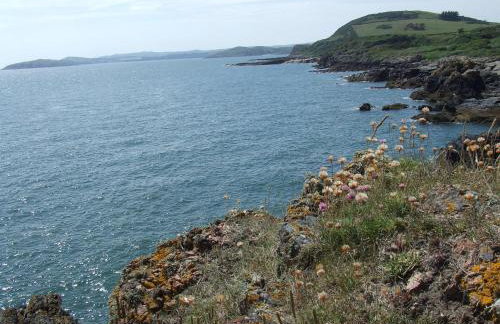 Clonyard House Hotel - Photo 6