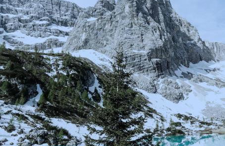 Cortina Center Design Apartment with Private Parking - Foto 47