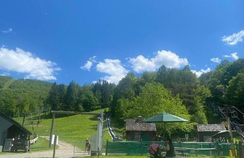 Cozy Ski in out Cabin in Berkshire Resort - Foto 15