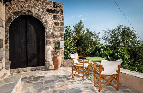 PositiveSpace Olive Tree - Foto 6