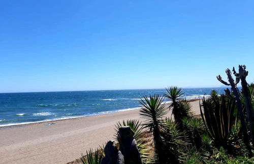 Villacana Playa Silvia - Photo 26