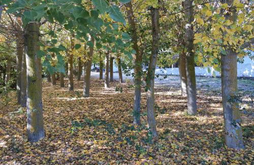 Complejo Apartamentos Rurales Molino de Abajo - Foto 62