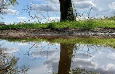 Apartment Klabautermann - Foto 25