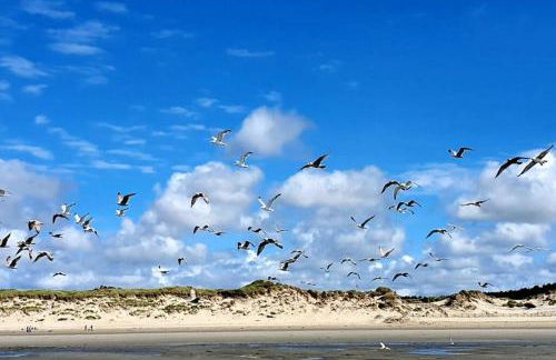 La Cabane des Dunes à Fort-Mahon Plage - Foto 19