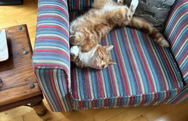 Ivy Cottage - Foto 32