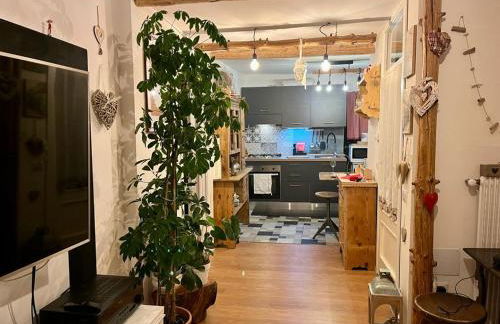 Il nido di Curlo - Foto 16