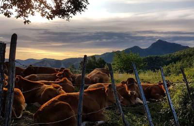 Agriturismo Il Falco del Monte Fumaiolo - Foto 9