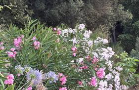 Les Mas d'Azur Appartement - Foto 3