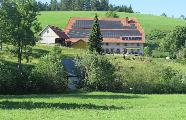 Historic Retreat, St. Georgen - Photo 19