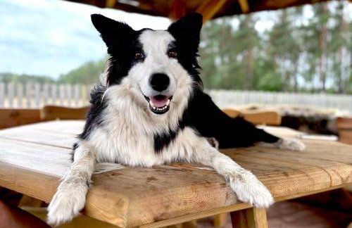 Farma Puchałowo - Foto 15