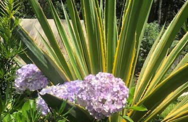 Casa de Campo & Home Office - Itapecerica da Serra , perto do Embu das Artes - Photo 29