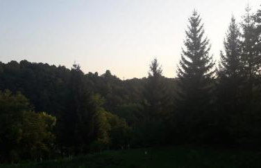 House Narta - Rastoke - Foto 20