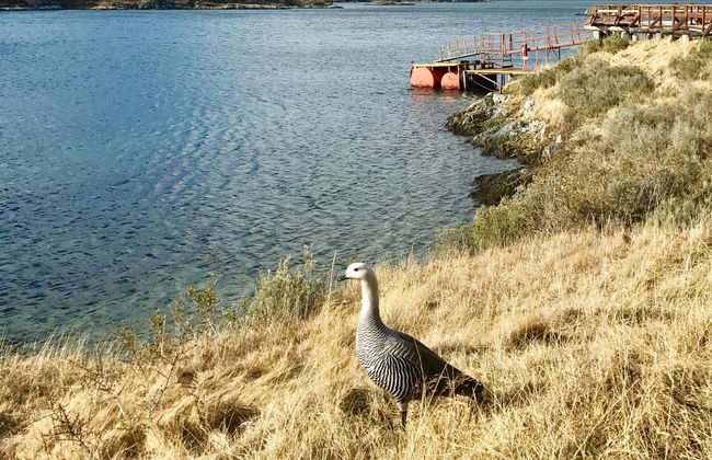 Offroading Trip to Tierra del Fuego - Photo 8