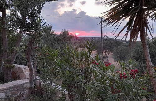 Villa Evenos with private pool - Foto 70