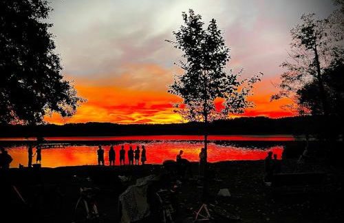 Wildgans 85 - Foto 30