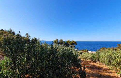 Apartmani M&S - Photo 42