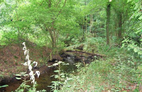 Gite La Chouette - Foto 13