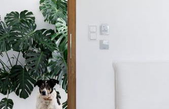 Ivy's Natural Resort - Foto 36