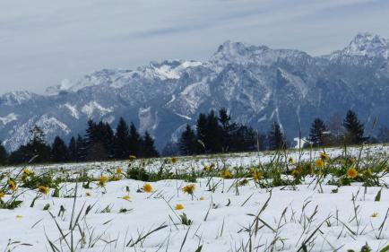 Ferienwohnung Allgäuer Landhaus Stocker in Hopferau-Füssen - Foto 60