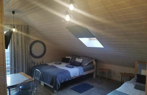 Noclegi Święta Katarzyna ,, Pod Jeleniami "prawdziwymi - Foto 79
