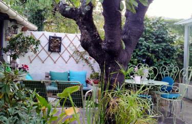 LE CITRONNIER - Foto 6