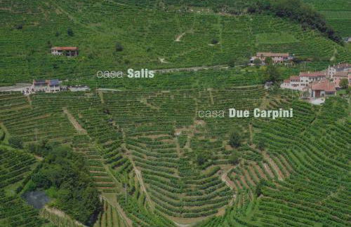 Agriturismo due Carpini - Foto 28