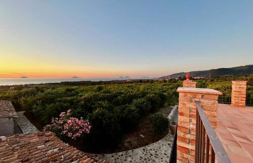 Kubos Agrirelais - Foto 6