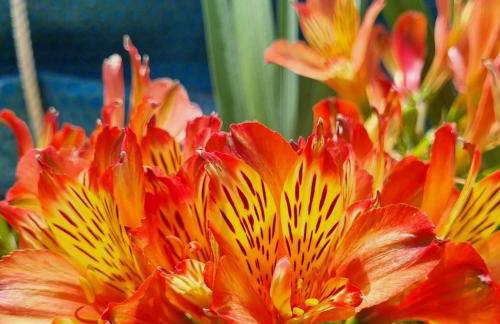 Infinity Wellness Apartment Hotel - Foto 140