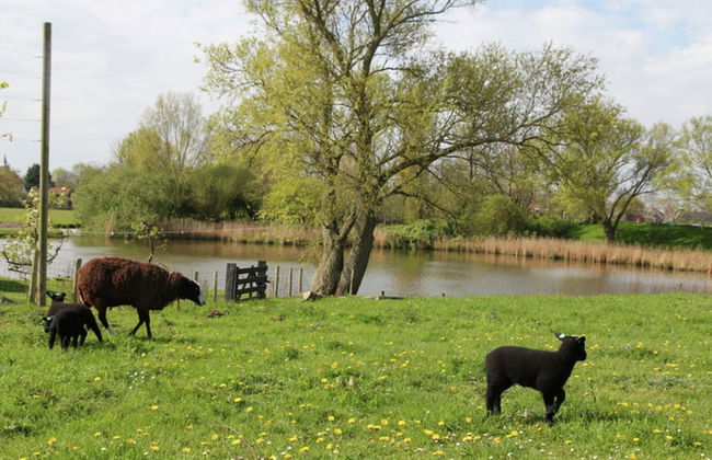 Romantic Holiday Home With Plenty of Cycling and Walking Possibilities - Foto 14