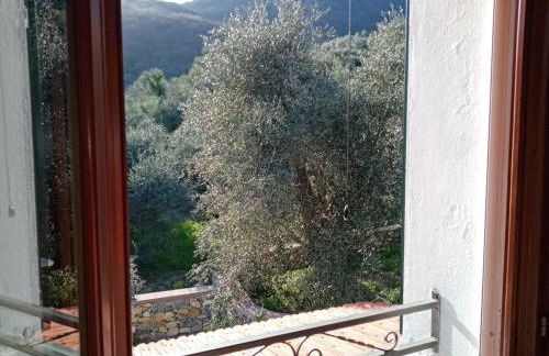 Agrisport Cà di Cuni - Foto 41