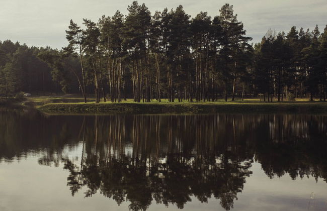 Stara Wieś Resort & Odnowa - Foto 56