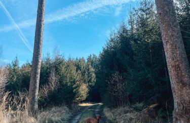 Your Home Base - Vacation & Work close to Munich - Foto 17