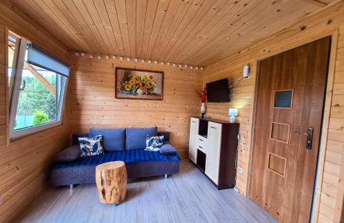 Domek Malinowy - Photo 31