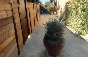 Le Mazet de Louise - Photo 20