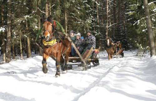 Apartamenty pod Wiciokrzewem - Foto 46
