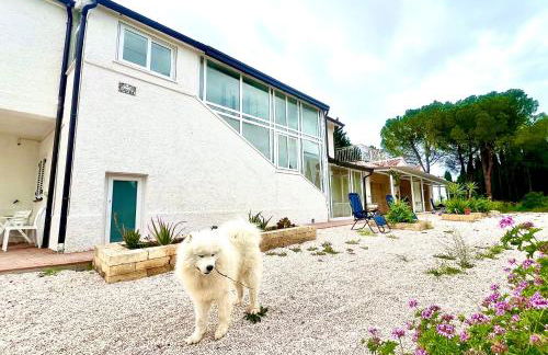 Bagnolo 23 Colli dell Infinito - Foto 18