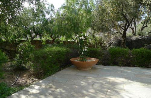 Nidu Accogliente in Balagna - Foto 43