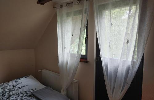 Domek w Borach Tucholskich - Wycinki - Foto 57