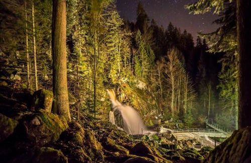 Ferienhaus Am Rösslewald - Foto 16