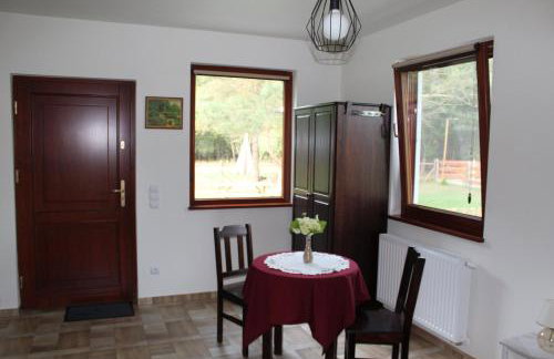 Koci Grzbiet Agroturystyka - Foto 36