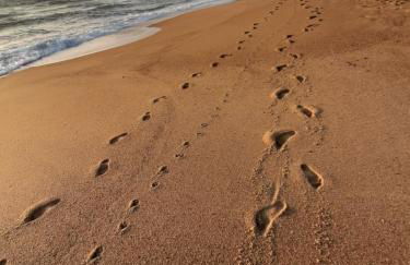 Appartement T3 (plain-pied) et son jardin privatif clos à Vieux Boucau - Foto 23