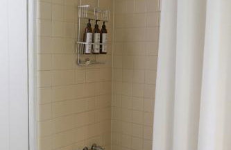 Russian Retreat - Foto 27